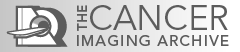 Cancer Imaging Archive logo