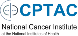 CPTAC-UCEC - The Cancer Imaging Archive (TCIA)